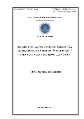 Luận án tiến sĩ nghiên cứu vai trò của nhóm gen mã hóa deubiquitinase và một số tín hiệu phân tử trên bệnh nhân tăng hồng cầu vô căn
