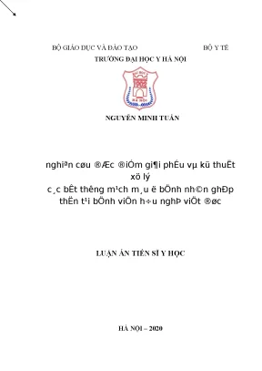 Luận án tiến sĩ nghiên cứu đặc điểm giải phẫu và kỹ thuật xử lý các bất thường mạch máu ở bệnh nhân ghép thận tại bệnh viện hữu nghị việt đức