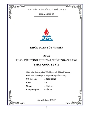 Luận văn tốt nghiệp phân tích tình hình tài chính ngân hàng tmcp quốc tế vib