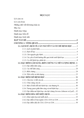 Luận án nghiên cứu đặc điểm lâm sàng cận lâm sàng mô bệnh học và hoá mô miễn dịch của hội chứng stevens johnson và lyell do dị ứng thuốc