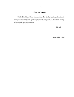 Luận án tiến sĩ tính toán vỏ thoải composite lớp chịu tác dụng đồng thời tải trọng sóng xung kích và nhiệt độ