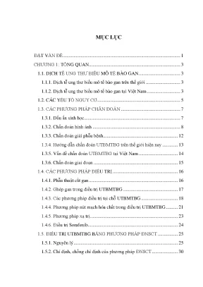 Luận án đánh giá kết quả điều trị ung thư biểu mô tế bào gan bằng đốt nhiệt sóng cao tần với các loại kim lựa chọn theo kích thước khối u