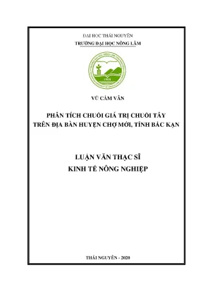 Luận văn tốt nghiệp phân tích chuỗi giá trị chuối tây trên địa bàn huyện chợ mới tỉnh bắc kạn