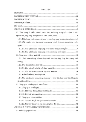 Luận án nghiên cứu biến tính than hoạt tính làm vật liệu xử lí một số chất độc tồn tại dưới dạng ion trong nước
