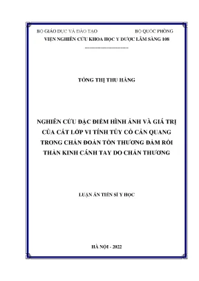 Luận án tiến sĩ nghiên cứu đặc điểm hình ảnh và giá trị của cắt lớp vi tính tủy cổ cản quang trong chẩn đoán tổn thương đám rối thần kinh cánh tay do chấn thương