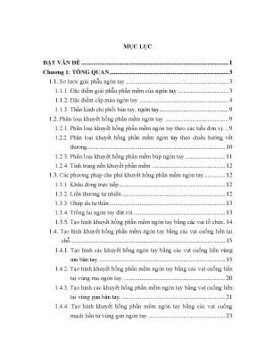 Luận án nghiên cứu tạo hình khuyết hổng phần mềm ngón tay bằng vạt cuống liền tại chỗ