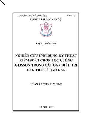 Luận án tiến sĩ nghiên cứu ứng dụng kỹ thuật kiểm soát chọn lọc cuống glisson trong cắt gan điều trị ung thư tế bào gan