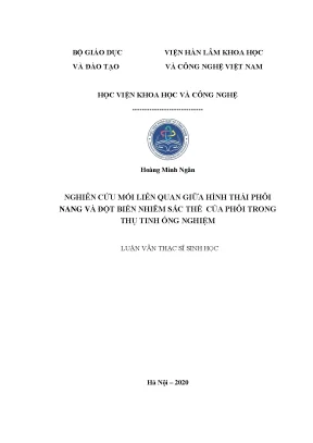 Luận án tiến sĩ nghiên cứu mối liên quan giữa hình thái phôi nang và đột biến nhiễm sắc thể của phôi trong thụ tinh ống nghiệm