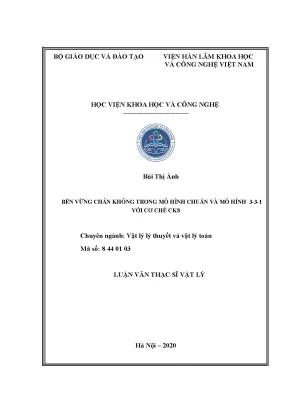 Luận án tiến sĩ bền vững chân không trong mô hình chuẩn và mô hình 3 3 1 với cơ chế cks