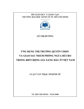 Luận văn thạc sĩ ứng dụng thị trường quyền chọn và giao sau nhằm phòng ngừa rủi ro trong biến động giá xăng dầu ở việt nam