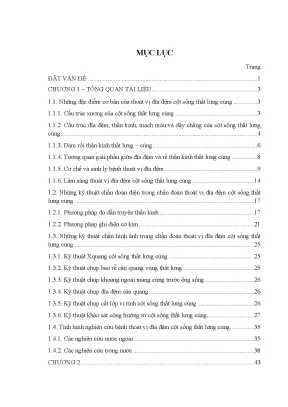 Luận án tiến sĩ nghiên cứu đặc điểm lâm sàng chẩn đoán điện và cộng hưởng từ ở bệnh nhân thoát vị đĩa đệm cột sống thắt lưng cùng