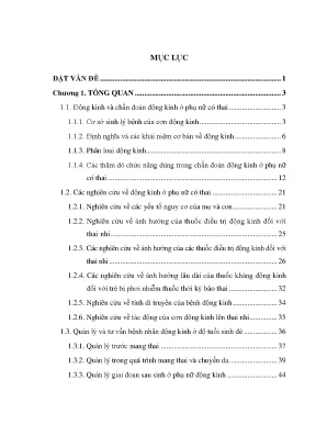Luận án đặc điểm lâm sáng cận lâm sáng và một số yếu tố liên quan của động kinh ở phụ nữ có thai