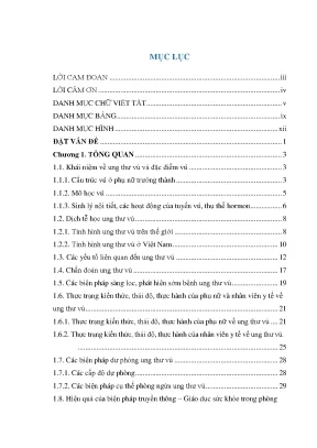 Luận án thực trạng kiến thức thái độ thực hành của phụ nữ và nhân viên y tế trong phát hiện sớm ung thư vú tại hai huyện hải phòng và hiệu quả của giải pháp can thiệp