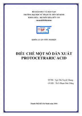 Luận văn thạc sĩ điều chế một số dẫn xuất protocetraric acid