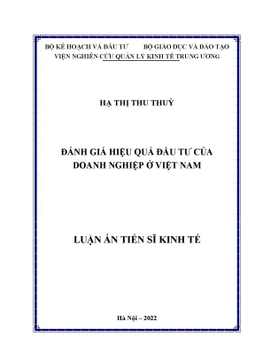 Luận án tiến sĩ đánh giá hiệu quả đầu tư của doanh nghiệp ở việt nam
