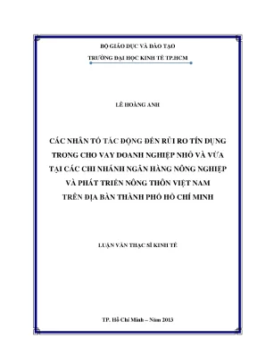 Luận văn thạc sĩ các nhân tố tác động đến rủi ro tín dụng trong cho vay doanh nghiệp nhỏ và vừa tại các chi nhánh ngân hàng nông nghiệp và phát triển nông thôn việt nam trên địa bàn tp hồ chí minh