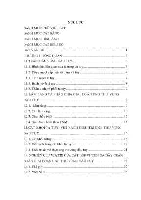 Luận án nghiên cứu giá trị của cắt lớp vi tính đa dãy và kết quả cắt khối tá tụy vét hạch chuẩn điều trị ung thư vùng đầu tụy