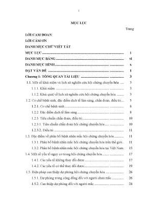 Luận án nghiên cứu thực trạng hội chứng chuyển hóa một số yếu tố liên quan và hiệu quả biện pháp can thiệp ở người bệnh đến khám và điều trị tại bệnh viện đa khoa tỉnh kon tum