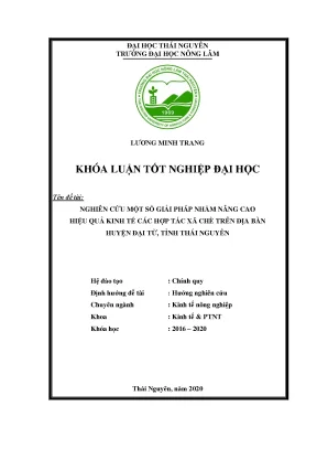 Luận văn tốt nghiệp nghiên cứu một số giải pháp nhằm nâng cao hiệu quả kinh tế các hợp tác xã chè trên địa bàn huyện đại từ tỉnh thái nguyên