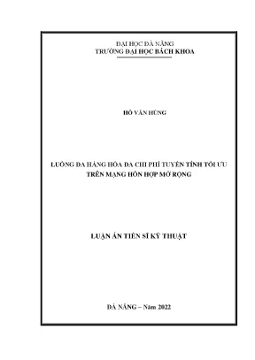 Luận án tiến sĩ luồng đa hàng hóa đa chi phí tuyến tính tối ưu trên mạng hỗn hợp mở rộng