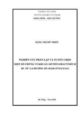 Luận văn tốt nghiệp nghiên cứu phân lập và tuyển chọn một số chủng vi khuẩn methylobacterium sp từ lá dương xỉ marattiaceae