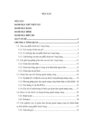 Luận án nghiên cứu hiệu quả giảm đau đường ngoài màng cứng ngực do bệnh nhân tự điều khiển bằng ropivacain kết hợp fentanyl sau phẫu thuật mở vùng bụng