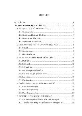 Luận án nghiên cứu đặc điểm lâm sàng cận lâm sàng của u thần kinh thính giác và đánh giá kết quả phẫu thuật theo đường mổ xuyên mê nhĩ