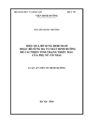 Luận án hiệu quả bổ sung hebi mam hoặc bổ sung đa vi chất dinh dưỡng để cải thiện tình trạng thiếu máu của phụ nữ có thai