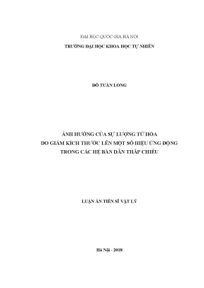 Luận án tiến sĩ ảnh hưởng của sự lượng tử hóa do giảm kích thước lên một số hiệu ứng động trong các hệ bán dẫn thấp chiều