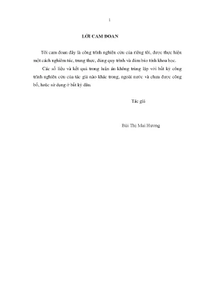 Luận án tiến sĩ thực trạng chăm sóc sức khỏe sinh sản của phụ nữ người dân tộc và hiệu quả hoạt động của cô đỡ thôn bản tại ninh thuận
