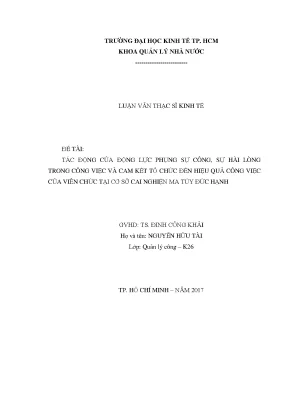 Luận văn thạc sĩ tác động của động lực phụng sự công sự hài lòng trong công việc và sự cam kết với tổ chức đến hiệu quả công việc của viên chức tại cơ sở cai nghiện ma túy đức hạnh
