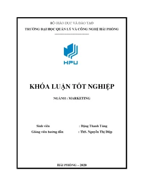 Luận văn tốt nghiệp giải pháp mở rộng thị trường tiêu thụ sản phẩm tại công ty tnhh thương mại dịch vụ tổng hợp trường hưng thịnh