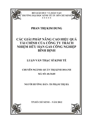 Luận văn thạc sĩ các giải pháp nâng cao hiệu quả tài chính của công ty trách nhiệm hữu hạn gas công nghiệp bình định