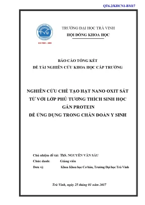 Luận án tiến sĩ nghiên cứu chế tạo hạt nano oxit sắt từ với lớp phủ tương thích sinh học gắn protein để ứng dụng trong chẩn đoán y sinh