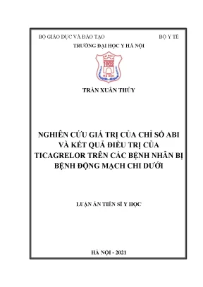 Luận án tiến sĩ nghiên cứu giá trị của chỉ số abi và kết quả điều trị của ticagrelor trên các bệnh nhân bị bệnh động mạch chi dưới