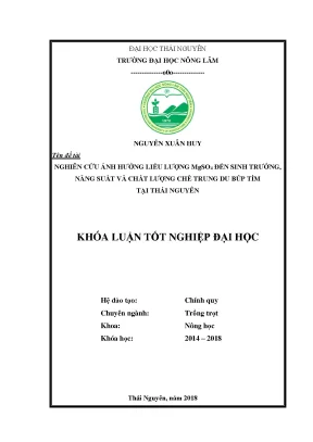 Luận văn tốt nghiệp nghiên cứu ảnh hưởng liều lượng mgso4 đến sinh trưởng năng suất và chất lượng của giống chè trung du búp tím tại trường đại học nông lâm thái nguyên