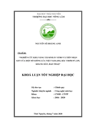 Luận văn tốt nghiệp nghiên cứu khả năng tái sinh in vitro và tiếp nhận gen của một số giống lúa việt nam jo2 bắc thơm 07 lp5 khang dân bao thai