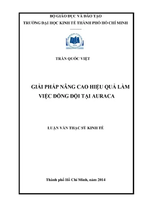 Luận văn thạc sĩ giải pháp nâng cao hiệu quả làm việc đồng đội tại auraca