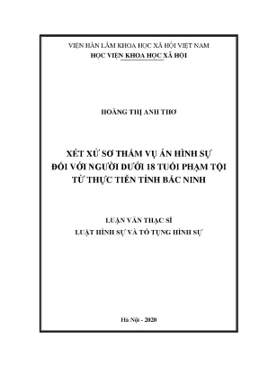 Luận án tiến sĩ xét xử sơ thẩm vụ án hình sự đối với người dưới 18 tuổi phạm tội từ thực tiễn tỉnh bắc ninh
