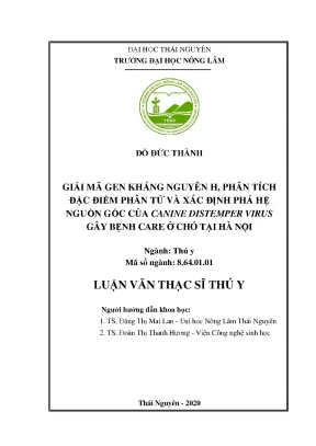 Luận văn tốt nghiệp giải mã gen kháng nguyên h phân tích đặc điểm phân tử và xác định phả hệ nguồn gốc của canine distemper virus gây bệnh care ở chó tại hà nội