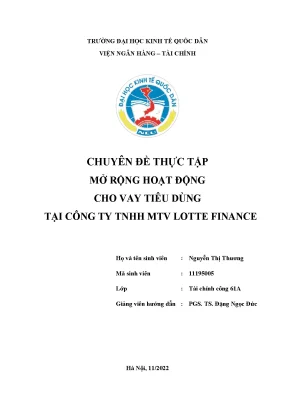 Chuyên đề thực tập mở rộng hoạt động cho vay tiêu dùng tại công ty tnhh mtv lotte finance
