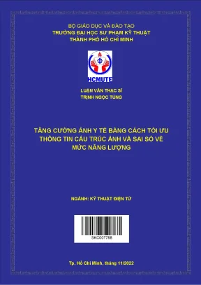 Tăng cường ảnh y tế bằng cách tối ưu thông tin cấu trúc ảnh và sai số về mức năng lượng