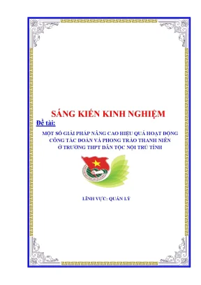 Skkn một số giải pháp nâng cao hiệu quả hoạt động công tác đoàn và phong trào thanh niên ở trường thpt dân tộc nội trú tỉnh