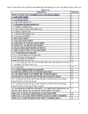 Skkn dự án dạy học theo chủ đề tích hợp nhằm phát triển năng lực học sinh tác phẩm chí phèo nam cao