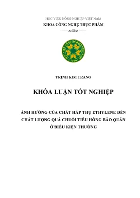 Tiểu luận ảnh hưởng của chất hấp thụ ethylene đến chất lượng quả chuối tiêu hồng bảo quản ở điều kiện thường