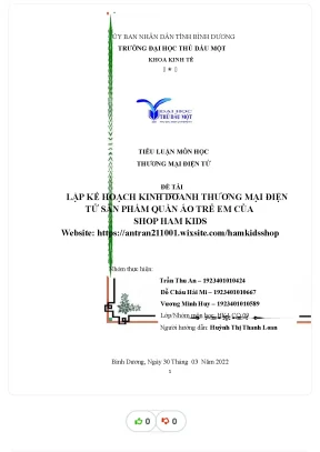 Tiểu luận tiểu luận lập kế hoạch kinh doanh thương mại điện tử sản phẩm quần áo trẻ em của shop ham kids
