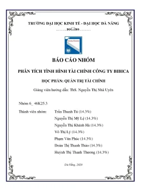 Báo cáo nhóm phân tích tình hình tài chính công ty bibica
