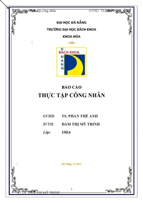 Báo cáo thực tập công nhân công ty tnhh lavergne việt nam công ty cổ phần cao su đà nẵng