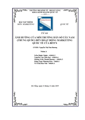 Tiểu luận ảnh hưởng của môi trường dân số tây nam trung quốc đến hoạt động marketing quốc tế của bitis