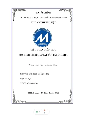 Tiểu luận môn học mô hình định giá tài sản tài chính mô hình đa nhân tố và lý thuyết độ chênh thị giá